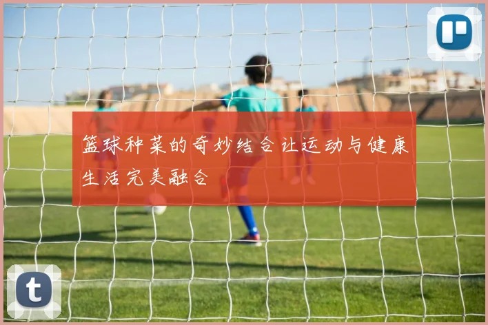 篮球种菜的奇妙结合让运动与健康生活完美融合