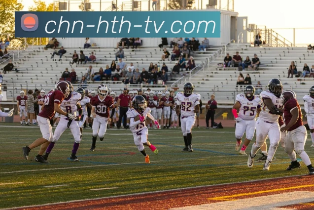 数据防护可视化